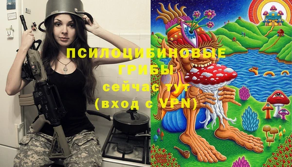 а пвп мука Алексин