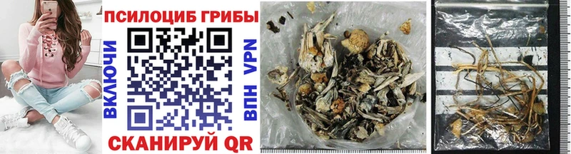 купить наркотики сайты Макушино Галлюциногенные грибы Psilocybine cubensis
